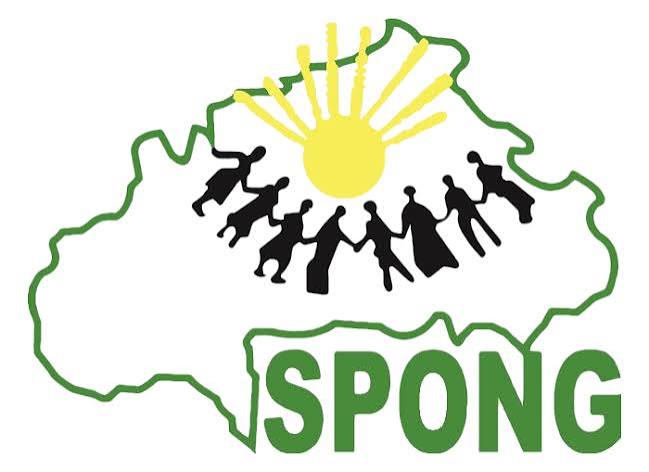 Logo de SPONG